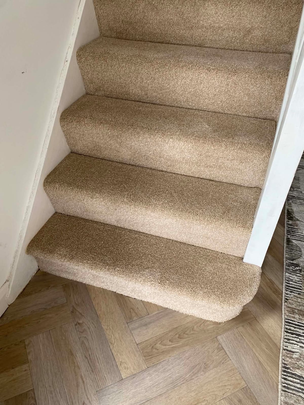 Beige stairs carpet