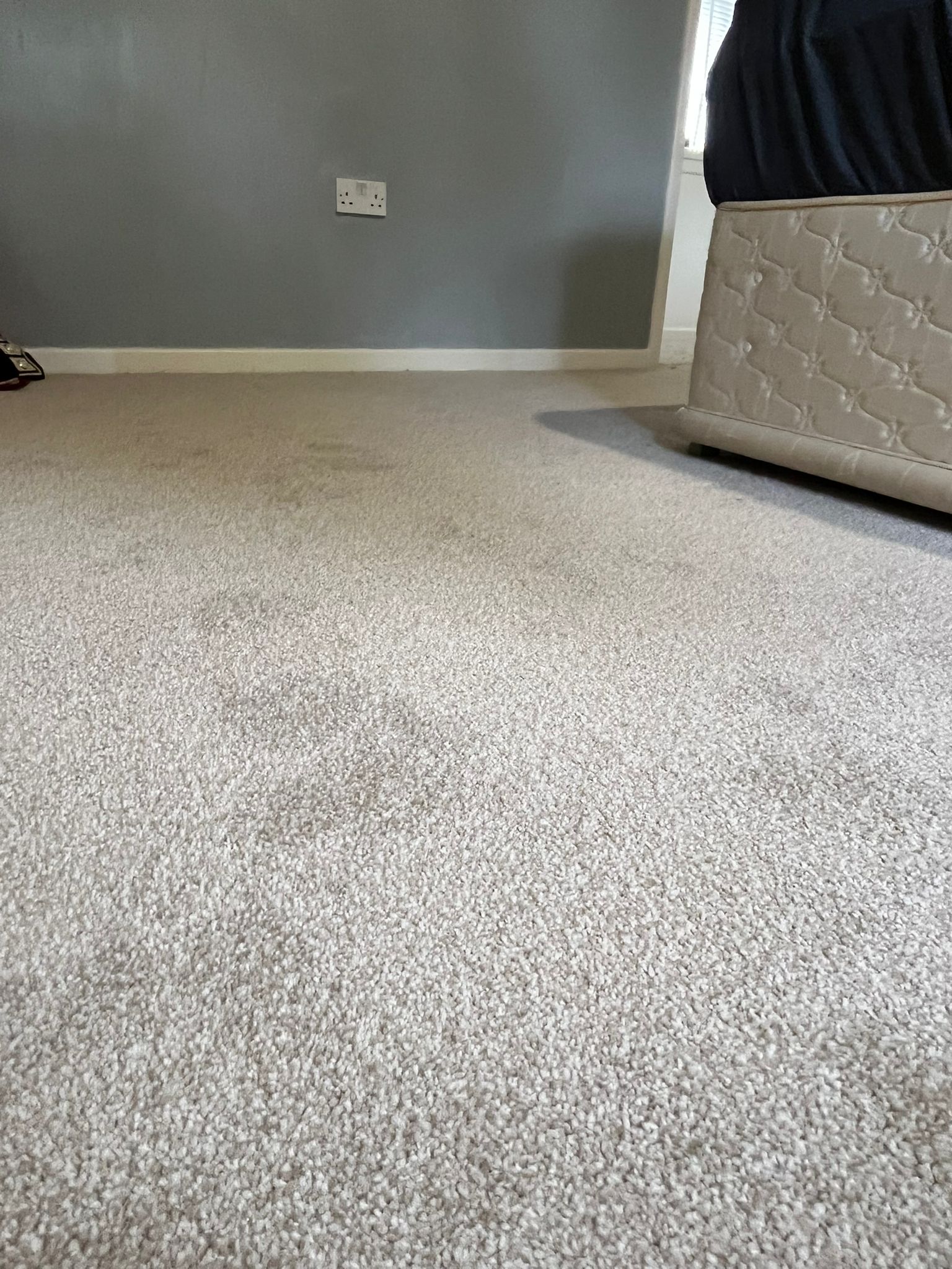 Soft feather bedroom carpet
