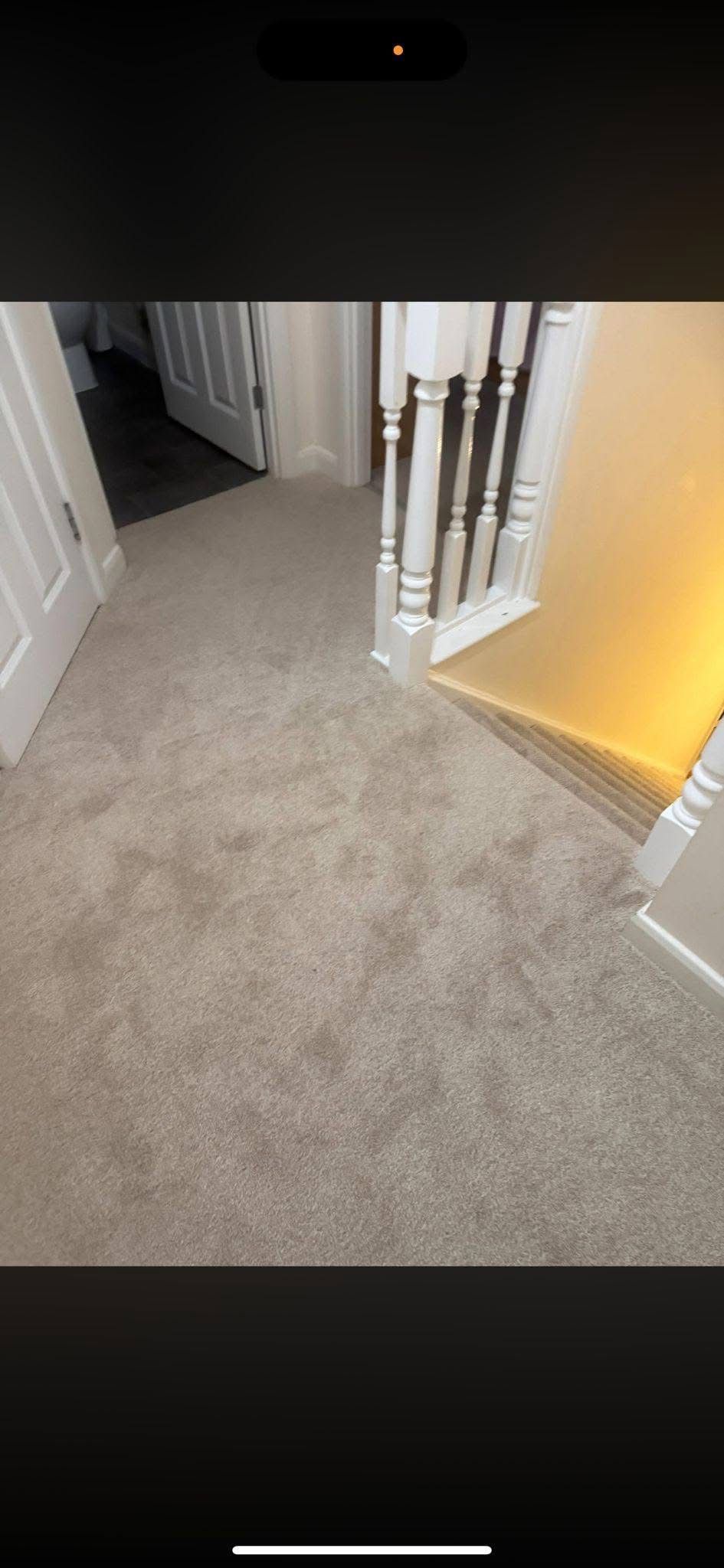 Neutral landing carpet