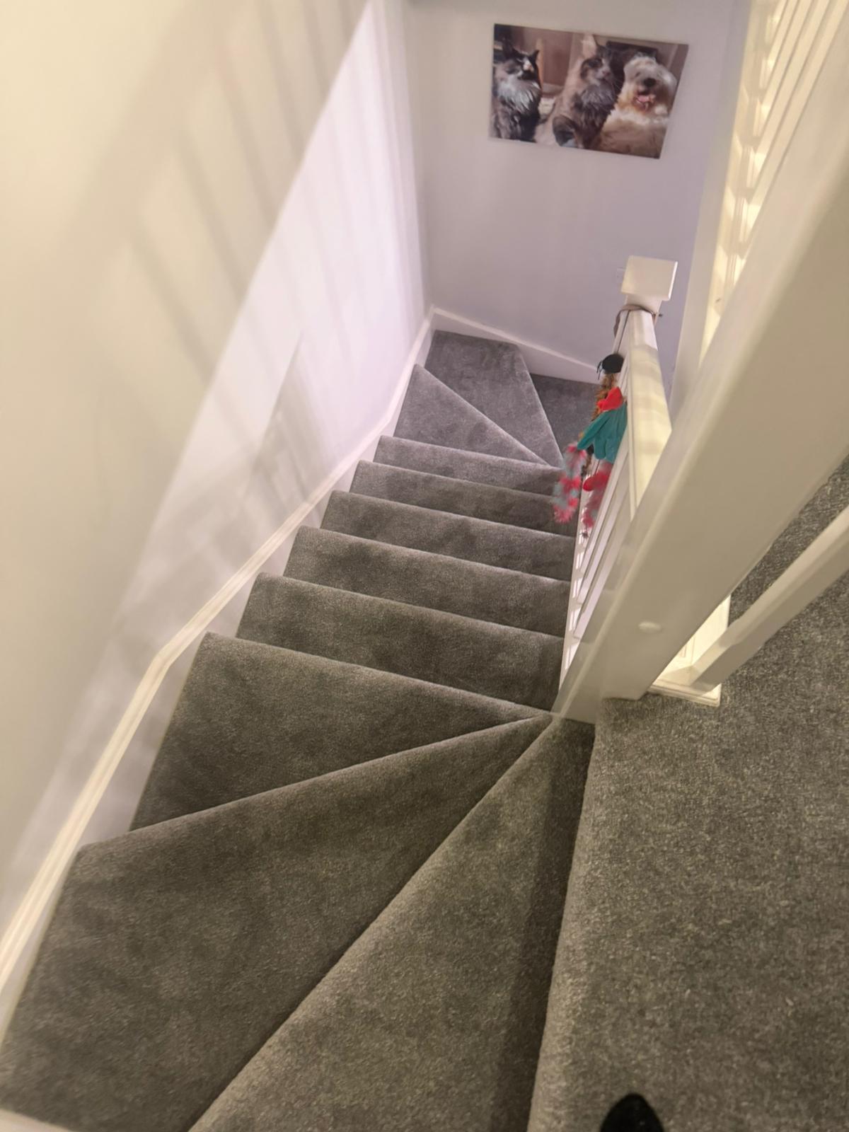 Full bedroom carpet